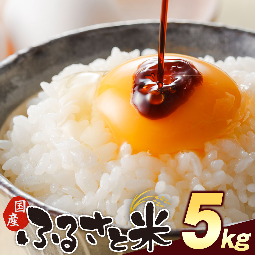 【計5kg(5kg×1袋)】国産 ふるさと米 白米