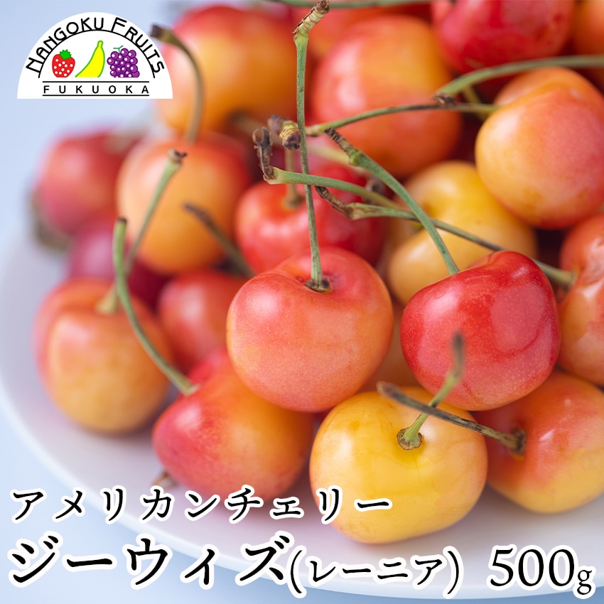 【予約受付】7月上旬~順次出荷【アメリカ】500g  GeeWhiz（レーニアチェリー)