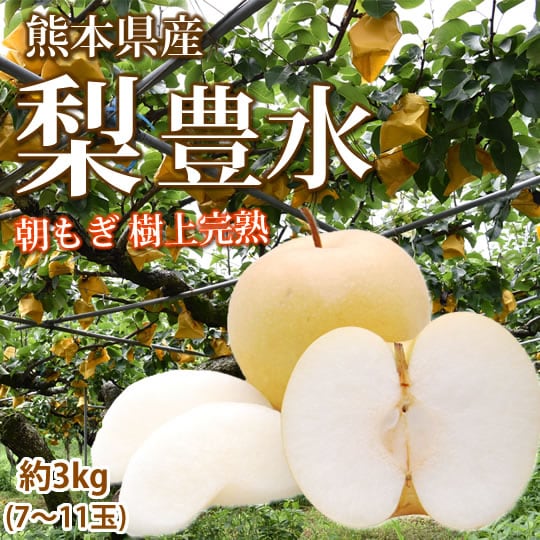 【予約受付】8/25~順次出荷【約3kg 7~11玉】熊本県産 梨 豊水