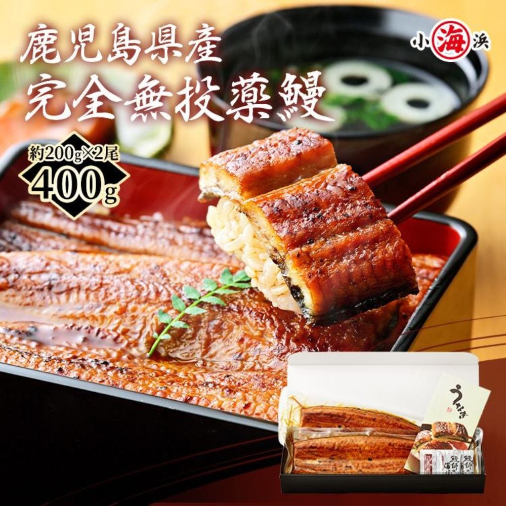 【約200g×2尾】うなぎ蒲焼き 国産　完全無投薬 鹿児島県産 特大【化粧箱入り】