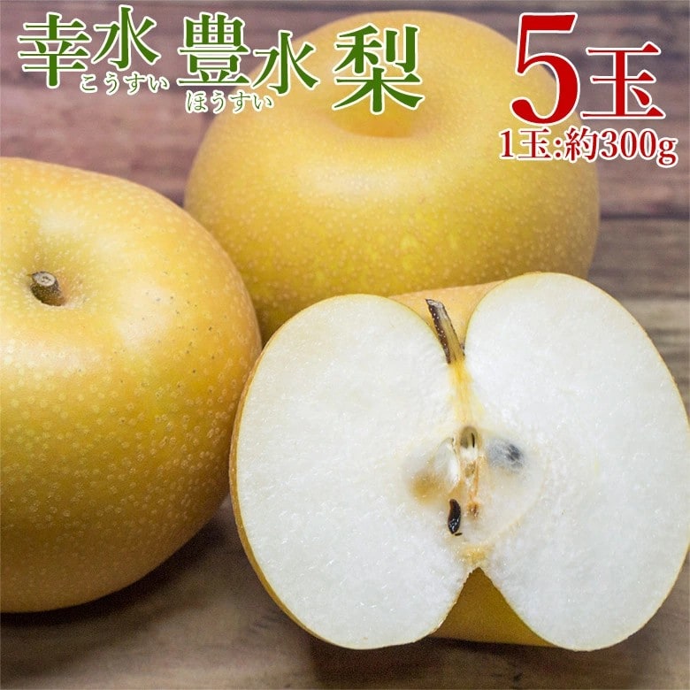 【予約受付】7/20~順次出荷【計5玉(1玉約300g)】幸水梨・ 豊水梨《秀品》