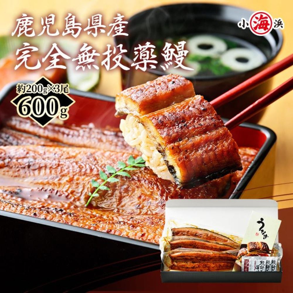 【約200g×3尾】うなぎ蒲焼き 国産　完全無投薬 鹿児島県産 特大【化粧箱入り】
