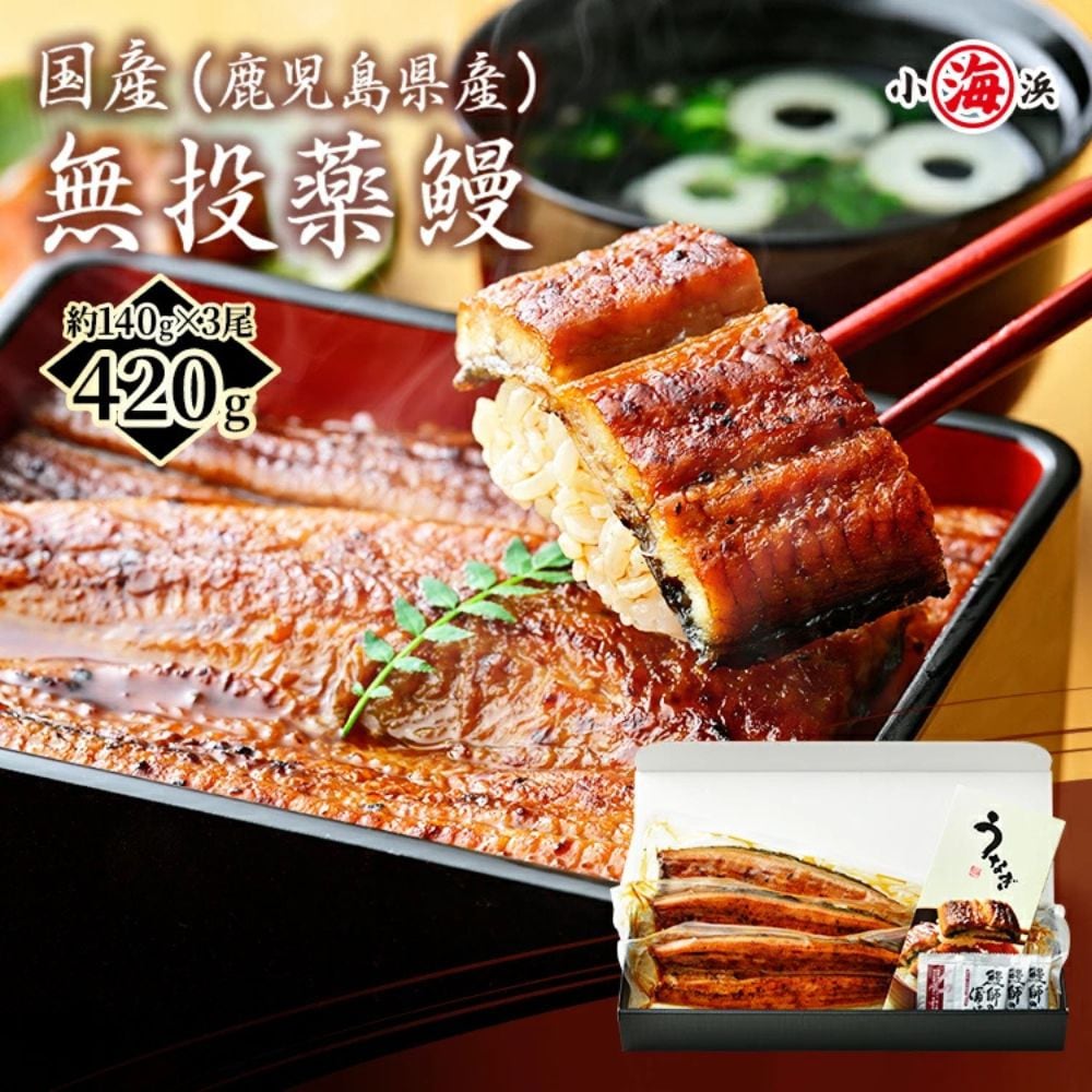 【約140g×3尾】うなぎ蒲焼き 国産　完全無投薬 鹿児島県産 特大【化粧箱入り】