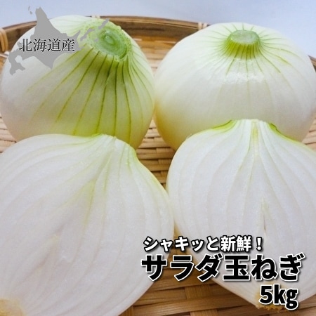 【予約受付】8月上旬~順次出荷　北海道産 サラダ玉ねぎ 5kg
