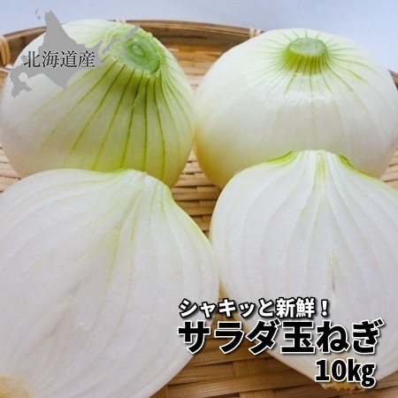 【予約受付】8月上旬~順次出荷　北海道産 サラダ玉ねぎ 10kg