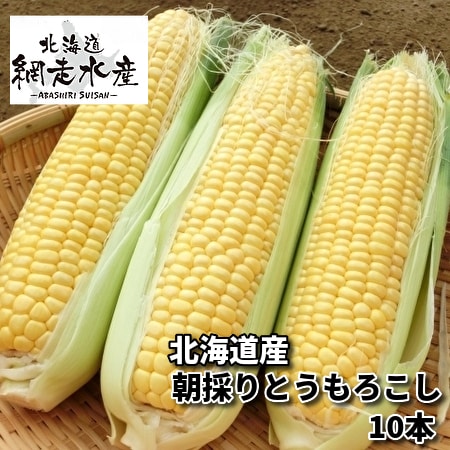 【予約受付】8月以降9月初旬頃まで順次出荷 北海道産 朝採りとうもろこし 10本
