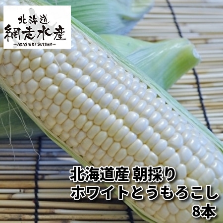 【予約受付】8月以降9月初旬頃まで順次出荷　北海道産 朝採りホワイトとうもろこし 8本