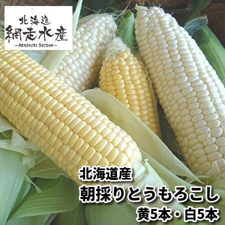 【予約受付】8月以降9月初旬頃まで順次出荷 北海道産 朝採りとうもろこしセット（黄5本・白5本）