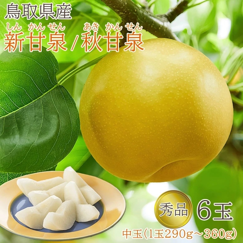 【予約受付】8/25~順次出荷【6玉(1玉290~360g)】鳥取県産 新甘泉・秋甘泉 梨《中玉》