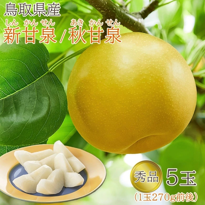 【予約受付】8/25~順次出荷【5玉(1玉270g前後)】《秀品》鳥取県産 新甘泉・秋甘泉 梨
