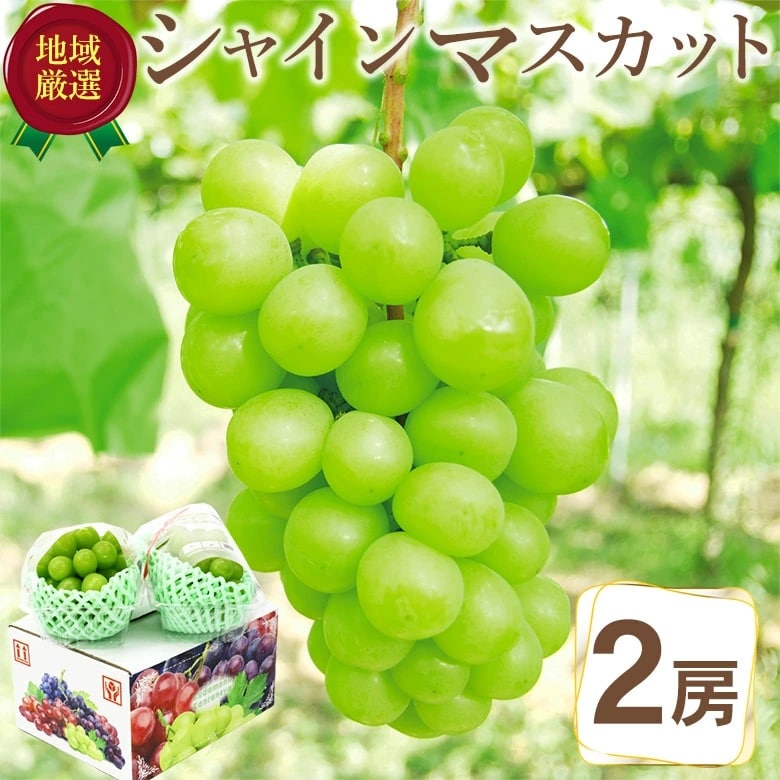 【予約受付】9/1~順次出荷【2房(640g前後)】≪秀品≫地域厳選 シャインマスカット