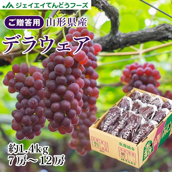 【予約受付】7/20~順次出荷【約1.4kg(7-12房)】[秀品]山形県産ぶどうデラウェア