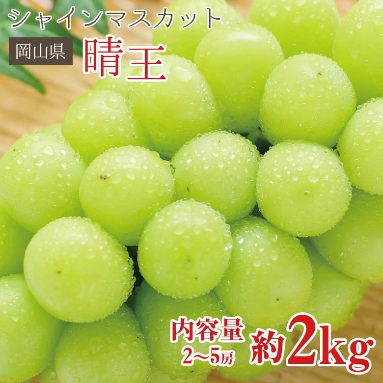 【予約受付】8/25~順次出荷【約2kg(2~5房)】岡山県産シャインマスカット 晴王