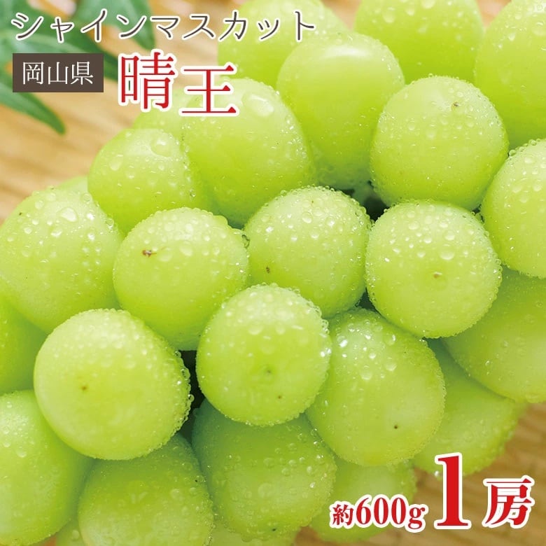 【予約受付】8/25~順次出荷【約600g(1房)】岡山県産シャインマスカット 晴王