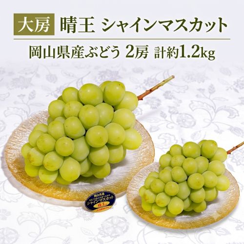 【2房計約1.2kg】岡山県産シャインマスカット 大房『晴王』【冷蔵】