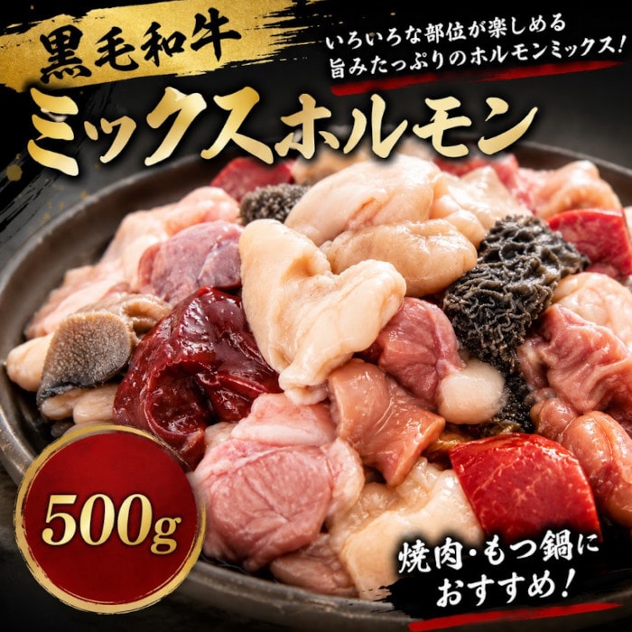 【500g】九州産黒毛和牛 ミックスホルモン