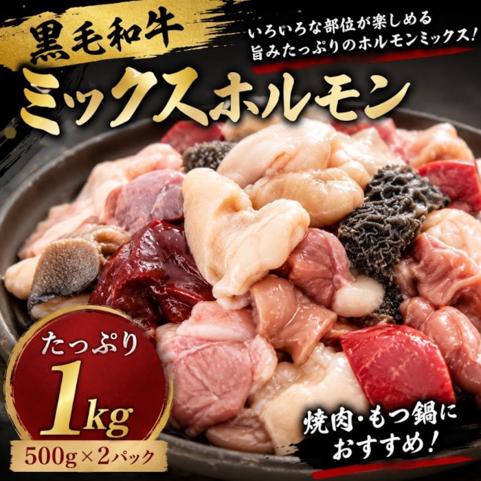 【計1kg/500g×2パック】九州産黒毛和牛 ミックスホルモン