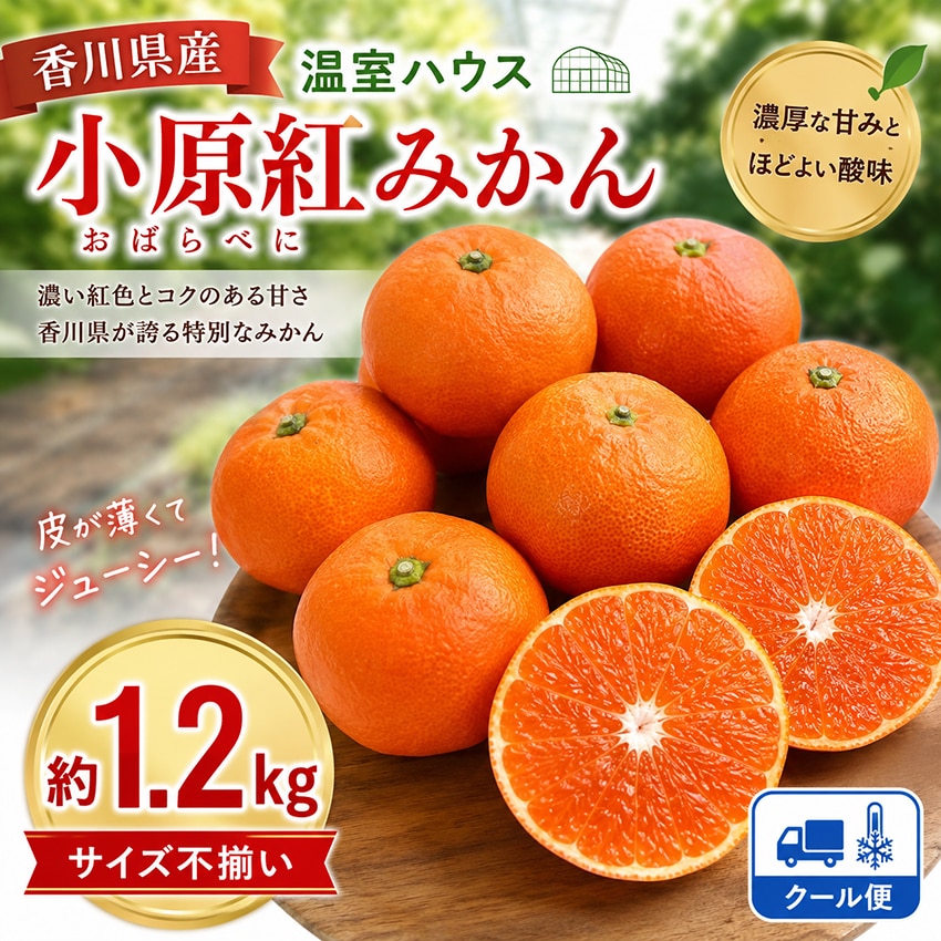 クール便【約1.2kg(ご家庭用・サイズ不揃い)】香川県産 温室ハウス小原紅みかん