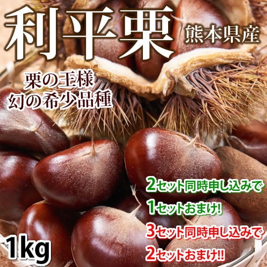 〈クール便でお届け〉【予約受付】9/25~順次出荷【1kg L~2L】熊本県産 利平栗