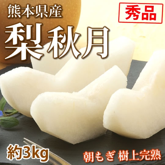 【予約受付】9/11~順次出荷【約3kg 6~10玉】熊本県産 梨 秋月