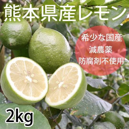 【予約受付】9/25~順次出荷【2kg(2S-L)】熊本県産 レモン 国産レモン
