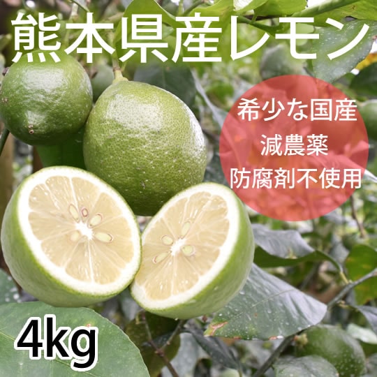 【予約受付】9/25~順次出荷【4kg(2S-L)】熊本県産 レモン 国産レモン