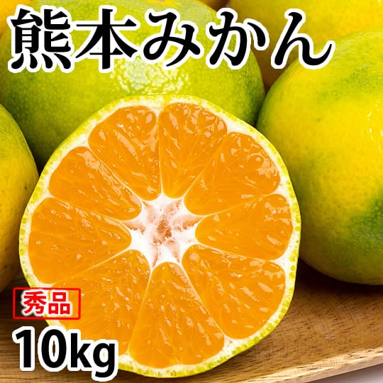 【予約受付】10/1~順次出荷【10kg】 熊本みかん 極早生 秀品
