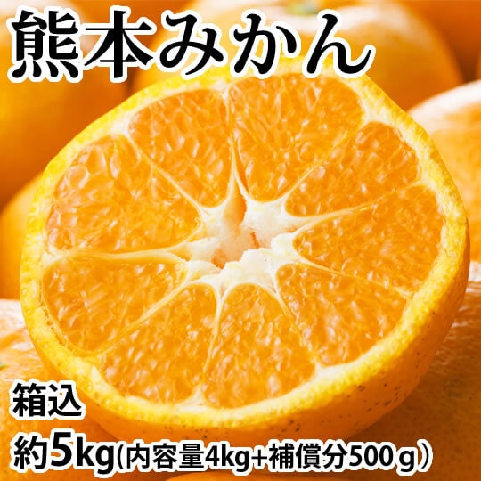 【予約受付】10/1~順次出荷【箱込約5kg】熊本みかん  (ご家庭用・傷あり)