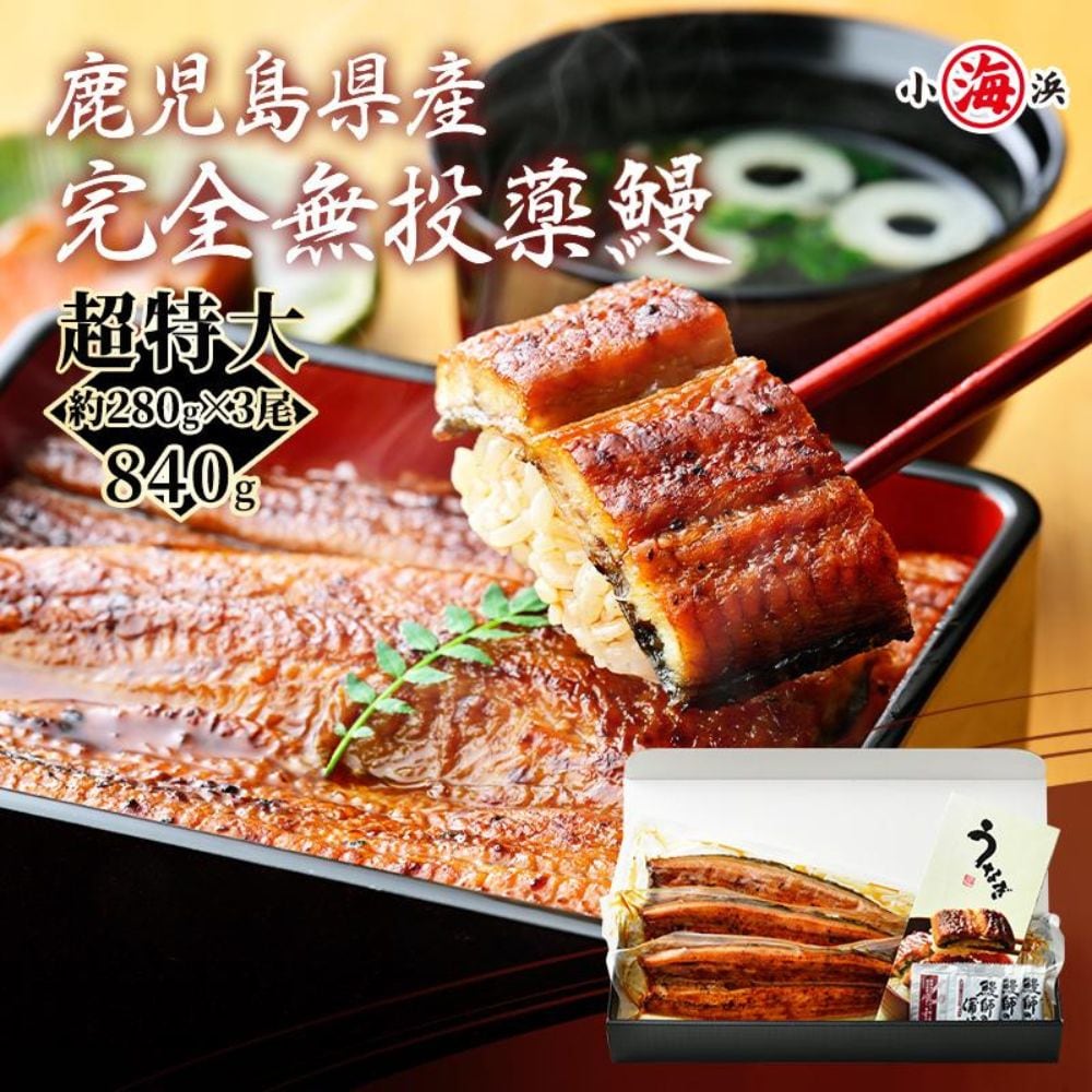 【約280g×3尾】うなぎ蒲焼き 国産　完全無投薬 鹿児島県産 超特大【化粧箱入り】
