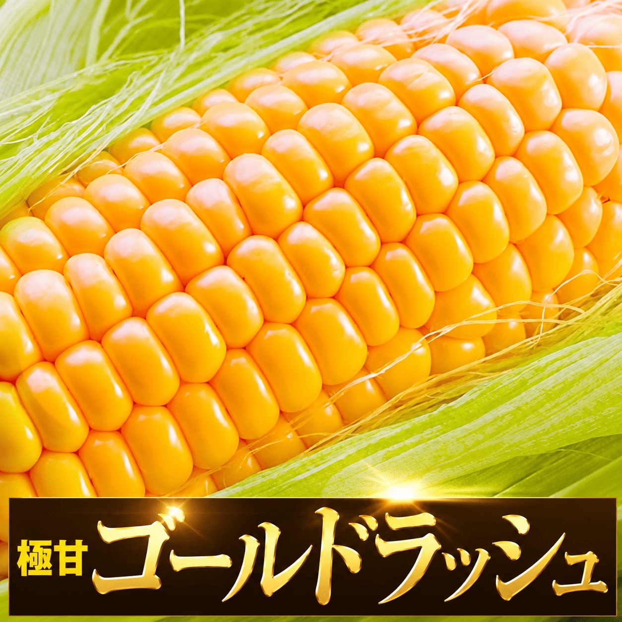 【6本入】北海道名寄市産 ゴールドラッシュ とうもろこし