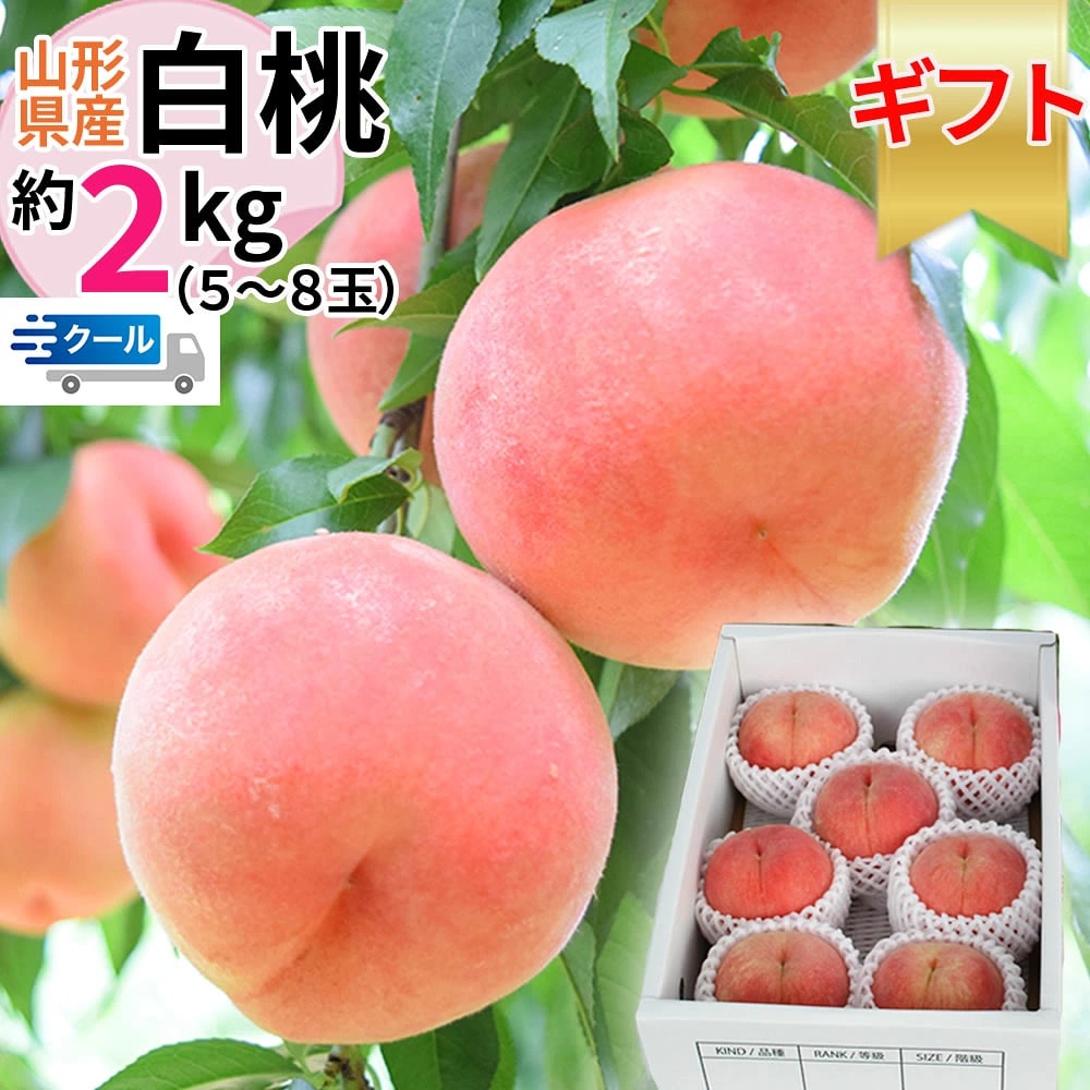【2kg】＜秀選＞山形県産 白桃 品種おまかせ(5〜8玉入り) クール便