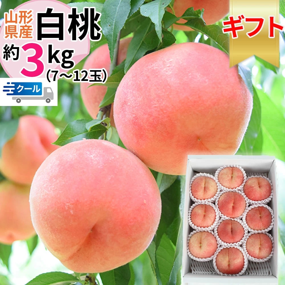 【3kg】＜秀選＞白桃 山形県産 品種おまかせ(7〜12玉入り) クール便