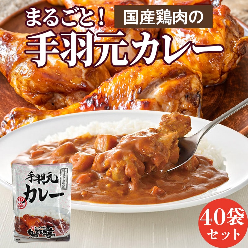 【200g×40食】鳥ZEN亭 手羽元カレー 中辛
