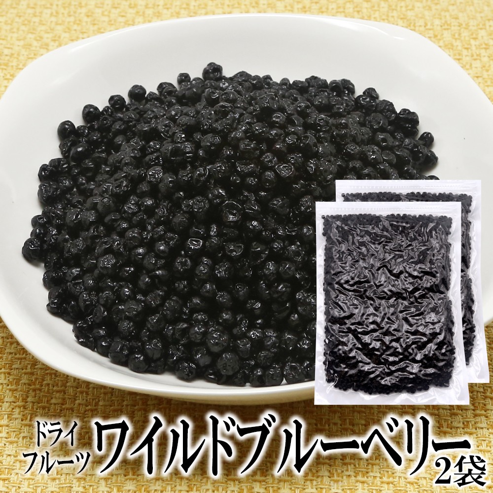 【1000g】ドライフルーツワイルドブルーベリー（500g×2袋）