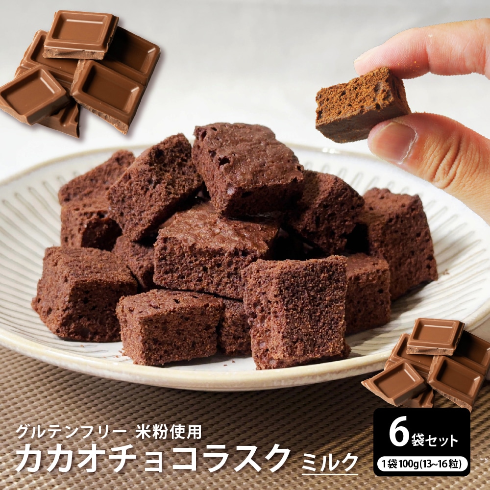 【600g】カカオチョコラスク(ミルク)（100g×6袋）不揃い・お得用【メール便2個口配送】