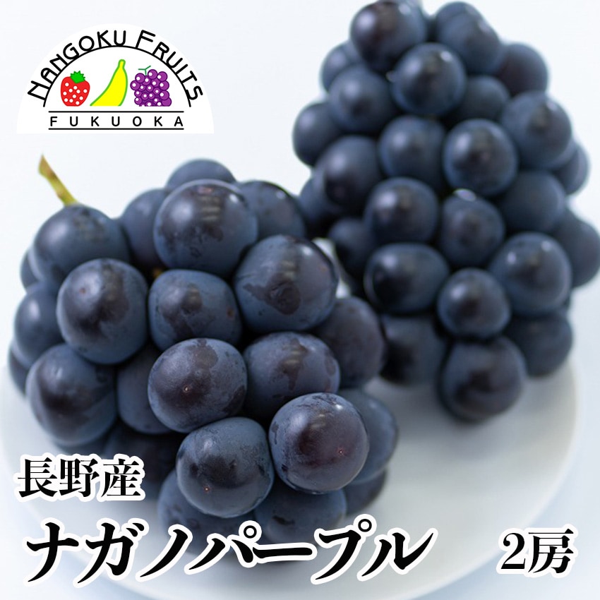 【予約受付】8月下旬~順次出荷【長野】2房　ナガノパープル