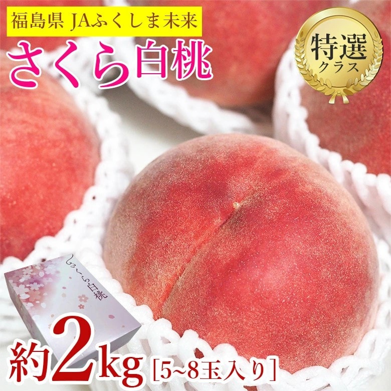 【予約受付】9/15~順次出荷【約2kg/5~8玉入り】福島県産 さくら白桃《特選品》