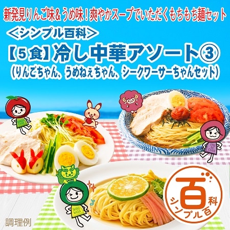 【日替わり数量限定】＜シンプル百科＞【5食】冷やし中華アソート3【先行チケット利用NG】