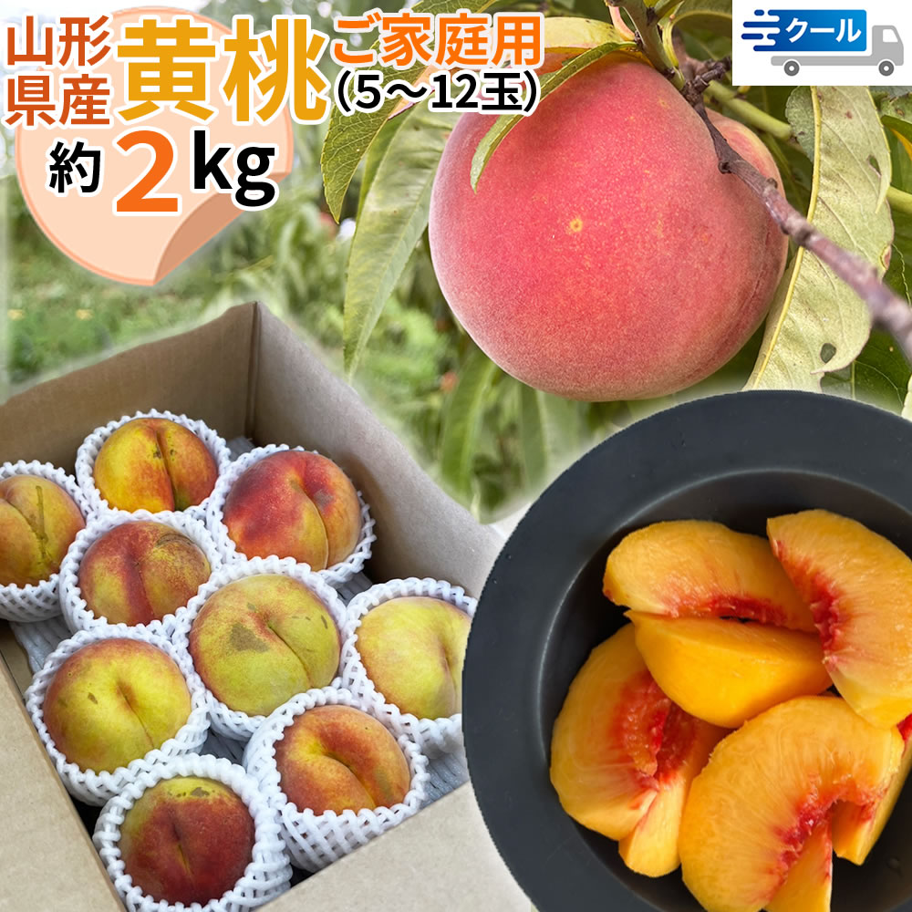 【予約受付】8/15~順次【2kg】＜ご家庭用＞山形県産 黄桃 品種おまかせ(5〜12玉) クール便