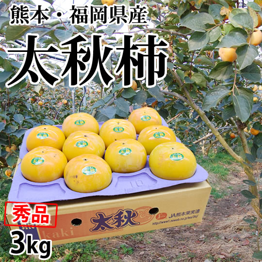 【予約受付】10/23~順次出荷【3kg】熊本・福岡県産 太秋柿 秀品