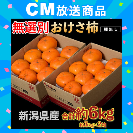 【予約受付】10/26~順次出荷【計6kg/約3kg×2箱】新潟県産『おけさ柿』