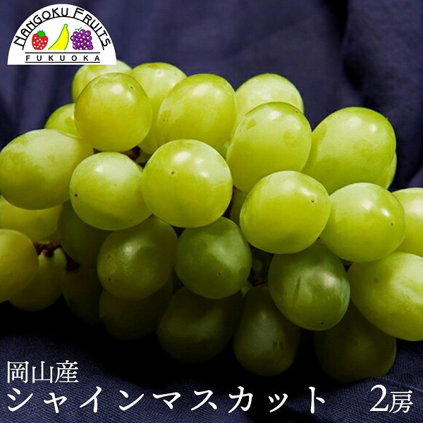 【岡山】2房　シャインマスカット