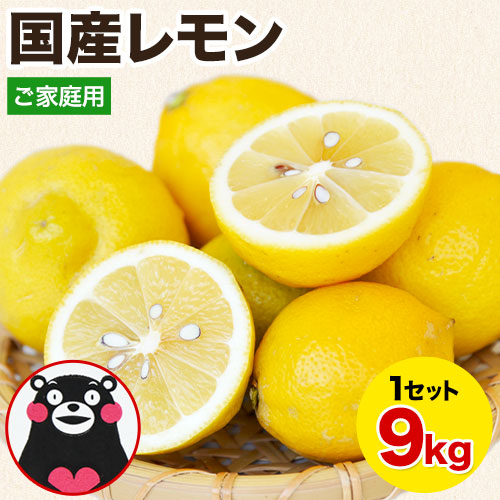 【予約受付】10/10~順次出荷【9kg】国産レモン※ご家庭用