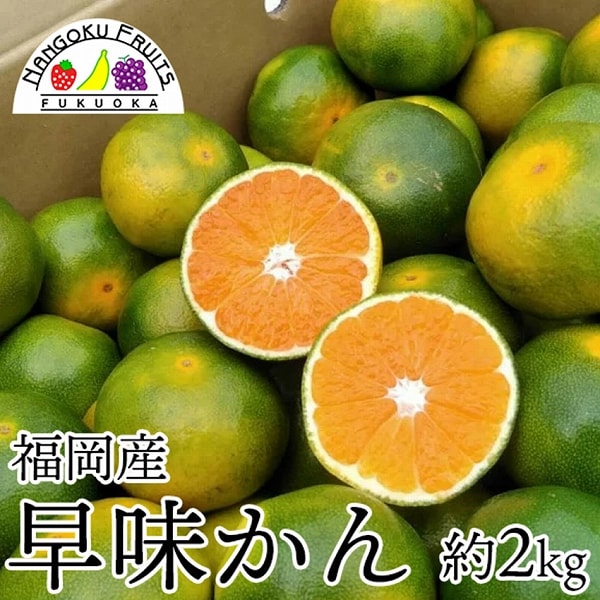 【予約受付】9月下旬~順次出荷【福岡】約2kg   早味かん