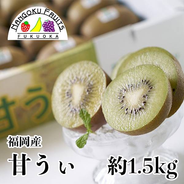 【予約受付】10月下旬~順次出荷【福岡】約1.5kg　甘うぃ(キウイ)
