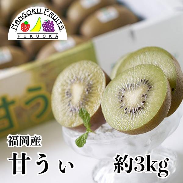 【予約受付】10月下旬~順次出荷【福岡】約3kg　甘うぃ(キウイ)