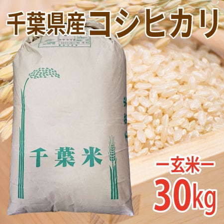【30kg×1袋】令和8年産 新米 玄米 千葉県産コシヒカリ