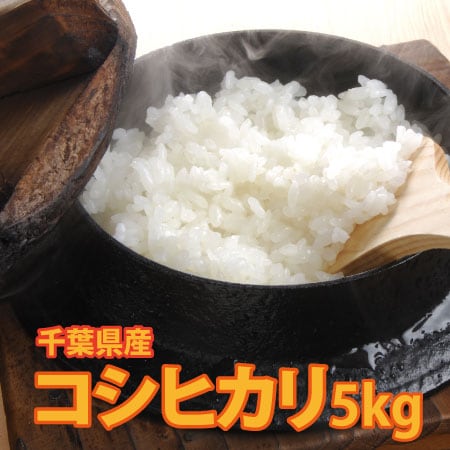 【5kg×1袋】令和8年産 新米 千葉県産コシヒカリ