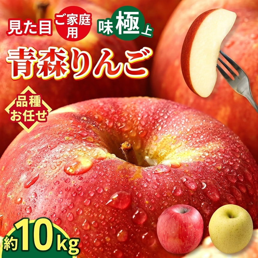 【予約受付】10/1~順次出荷【10kg】 青森県産 ご家庭用りんご 10kg 品種おまかせ