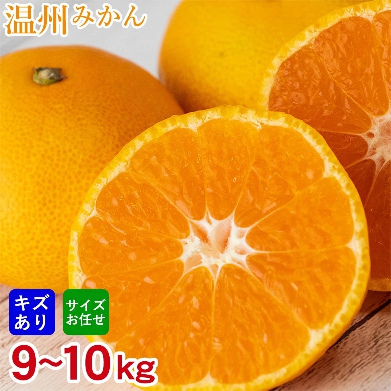 【予約受付】10/25~順次出荷【9~10kg】厳選 温州みかん(傷あり)